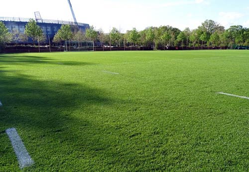 Trainingsplatz mit Hybridrasen und regelmäßiger Nachsaat.