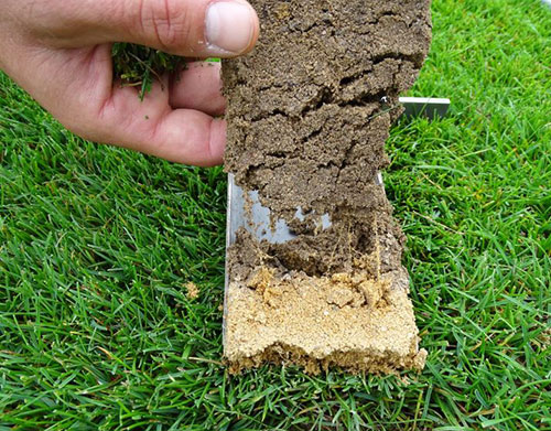 Saatgutettiketten für Sondermischungen mit Lolium -Sorten