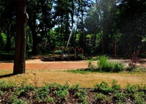 Trockenschäden bei einer mobilen Beregnung.