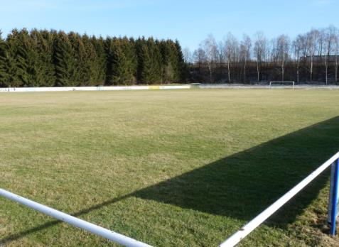 Rasenaspekt bei Winterruhe auf dem Sportplatz