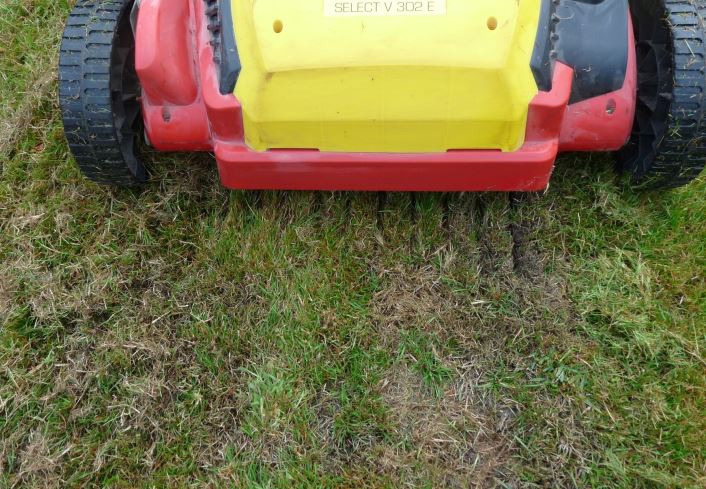 Vertikutierer zur Bearbeitung der Rasenlücken