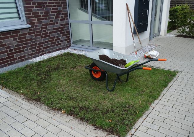 Bearbeitung des unansehnlichen Rasens