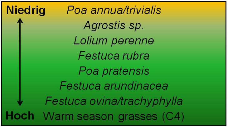 Trockenheitstoleranz verschiedener Gräserarten