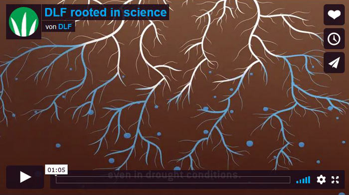 Wurzel-Test in RadiMax.
