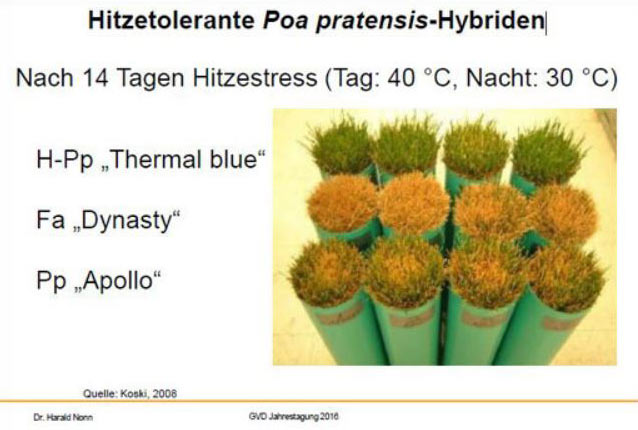 Gefäßversuch in der Klimakammer