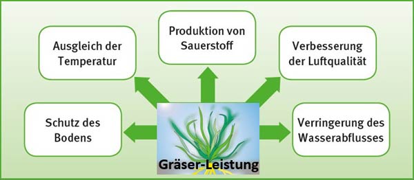 Frische, grüne Rasengräser sorgen für vielfältige, positive Umweltwirkungen.