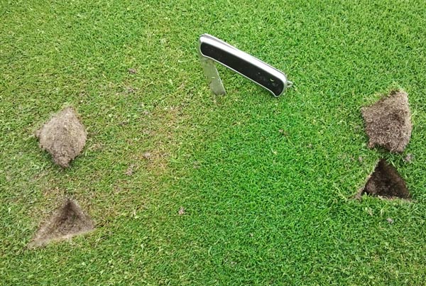 Lokal abgegrenzte Trockenstelle („LDS“) mit abgestorbenen Gräsern nach längerer Trockenheit (li.), vitale Gräser in feuchtem Boden (re.).