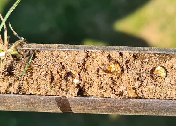 Beurteilung der Hydrophobie einer RTS mit dem „Water Droplett Penetration Test“ (WDPT).