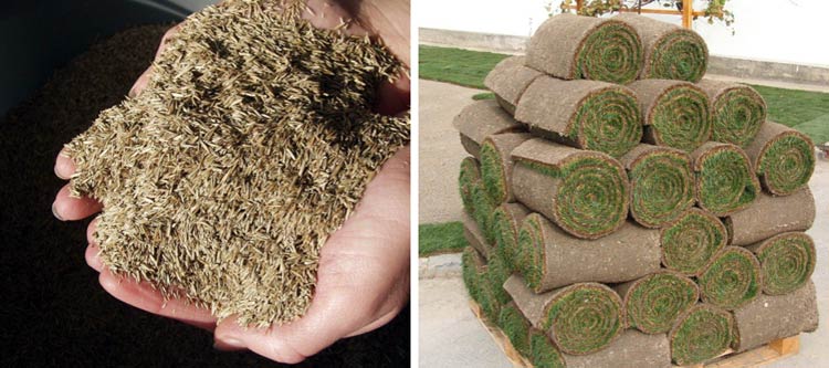 Reparatur von Rasenspielfeldern im Frühjahr