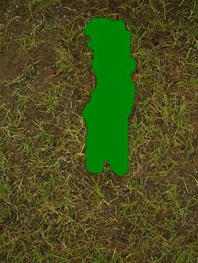 Auswertung der Divot-Größe mit der Sigma-Scan-Methode.