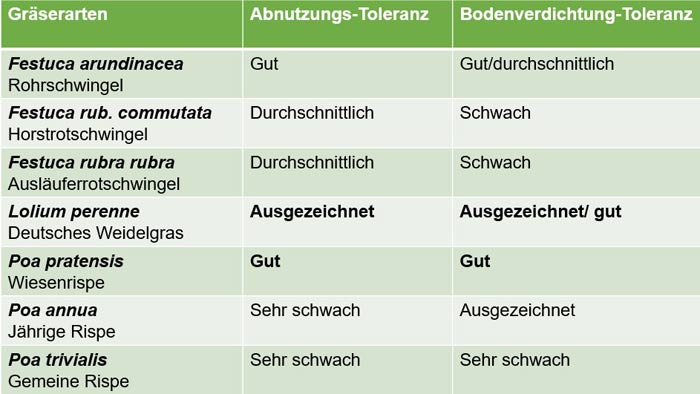 Einstufung einiger Eigenschaften (Abnutzungs-Toleranz/ Bodenverdichtungs-Toleranz) ausgewählter Gräserarten bei der Nutzung im Strapazierasen. 