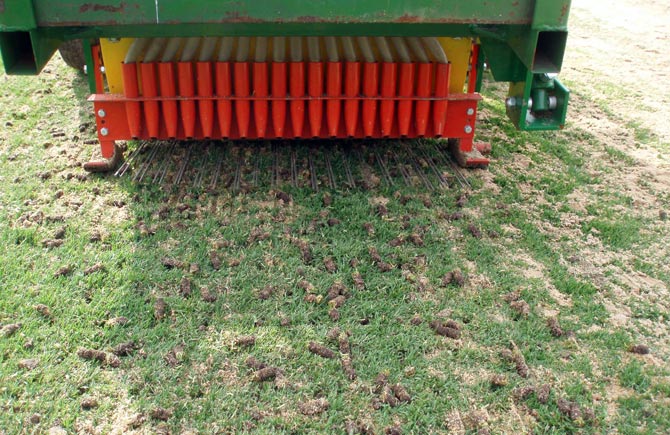 Aerifiziergerät mit Hohlzinken.