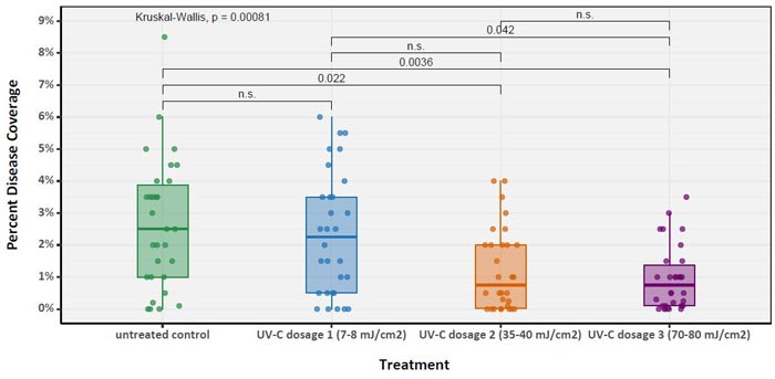 Medianwerte für den Krankheitsbefall in % für alle beobachteten Werte des Auftretens von Dollarflecken in den Sommerperioden 2020 und 2021 in Abhängigkeit der UV-C Dosierungen auf dem Golfgrün.