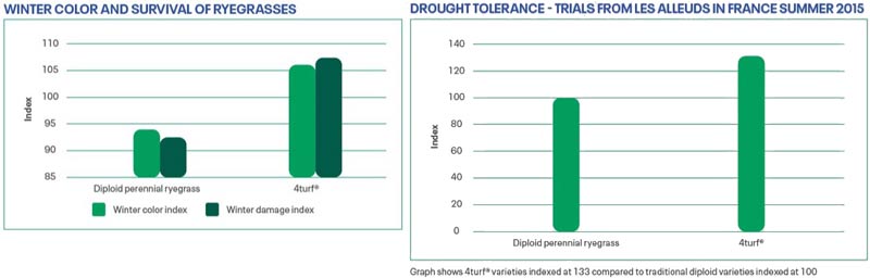 Zusammenfassende Versuchsergebnisse für die Eigenschaften „Winterhärte“ und „Trockenheitstoleranz“ von tetraploidem Deutsch Weidelgras (4turf®/ DLF, 2023).
