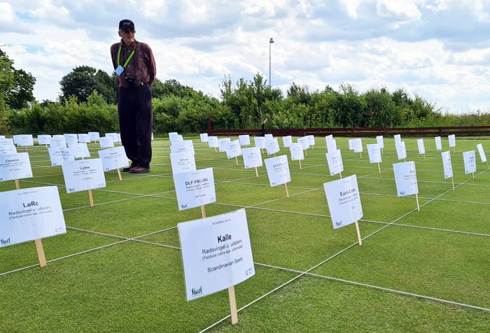 Rasenversuche liefern große Mengen an Datenmaterial, die entsprechend ausgewertet werden müssen.