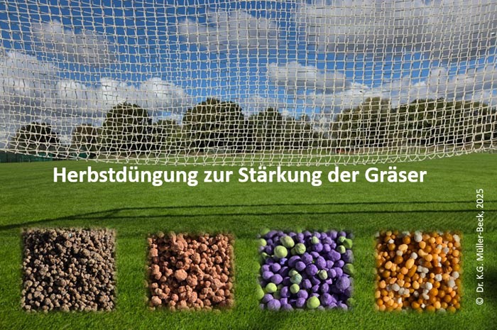 Der Fokus bei der Herbstdüngung liegt auf dem K-Anteil beim Dünger.